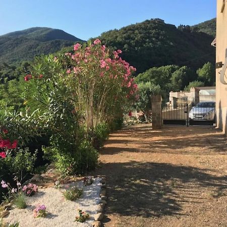 Bel Appartement Type F3 Amélie-les-Bains-Palalda Eksteriør billede