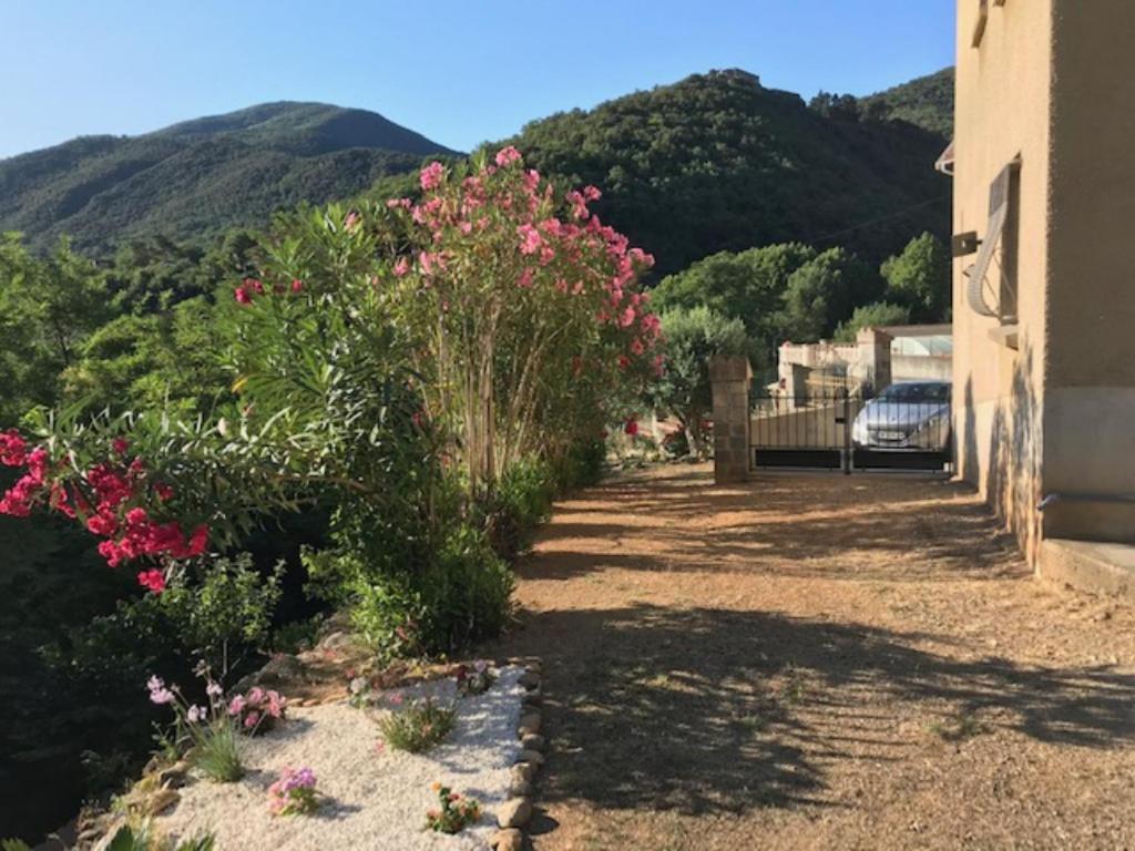 Bel Appartement Type F3 Amélie-les-Bains-Palalda Eksteriør billede